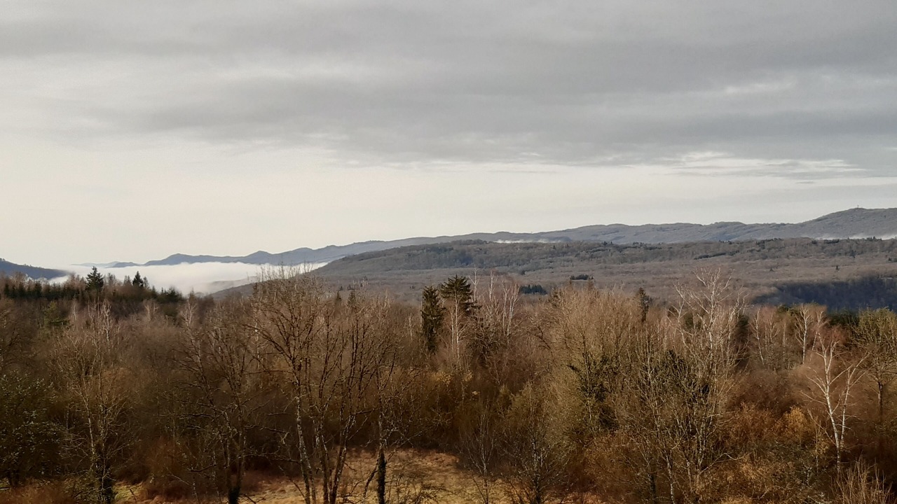 Photo of Outdoor in Charchilla
