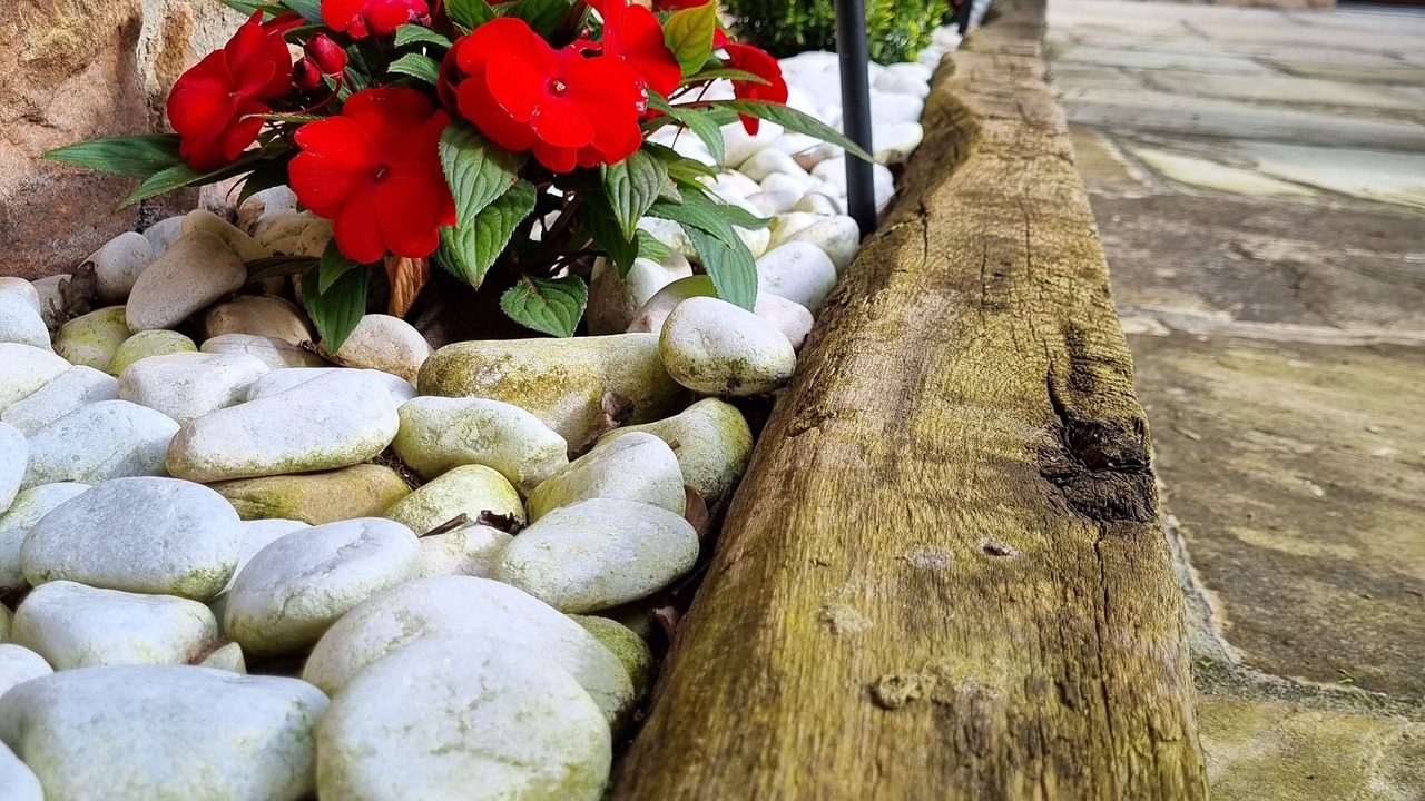 Photo of Outdoor in Los Corrales de Buelna