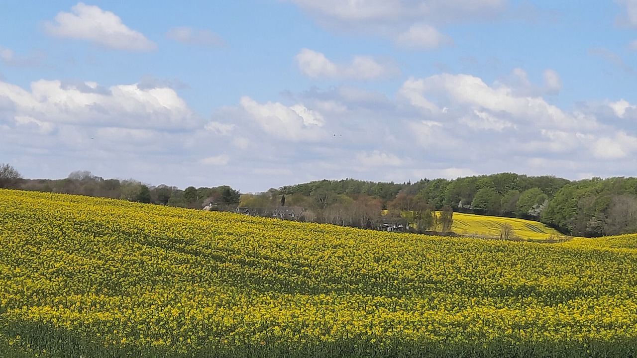 Photo of Others in Langballig