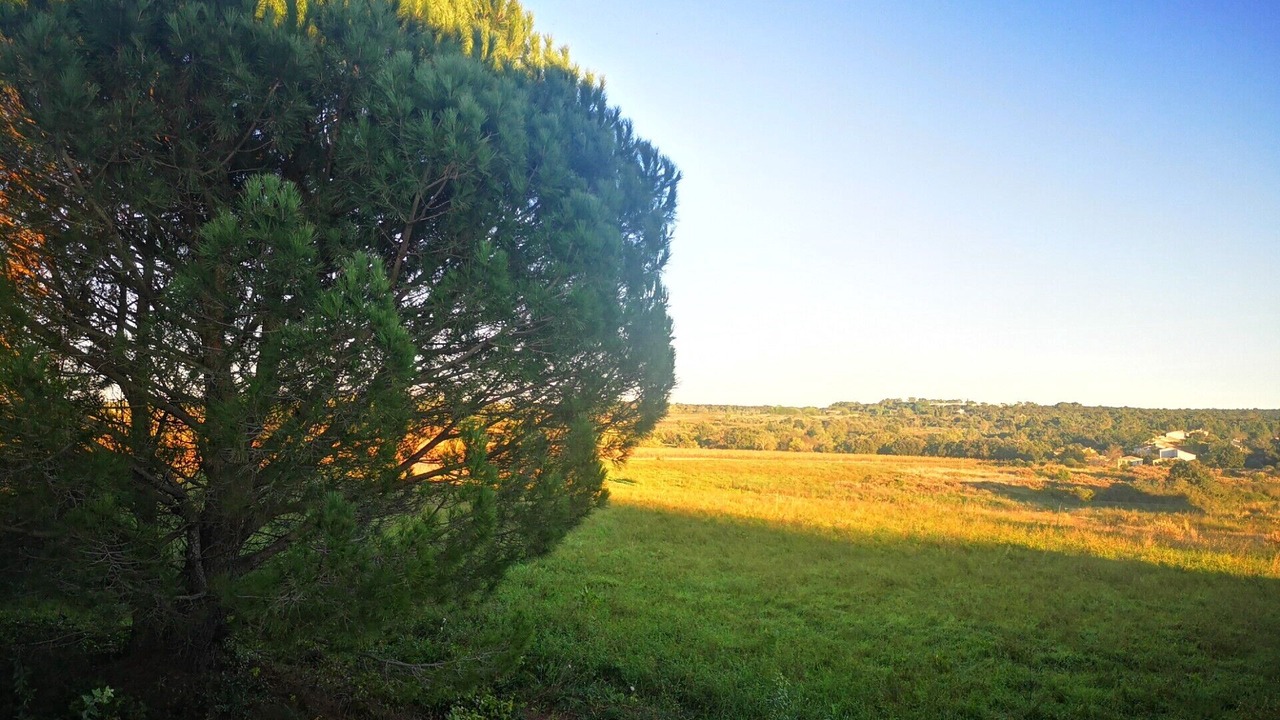 Photo of Others in Euzet-les-Bains
