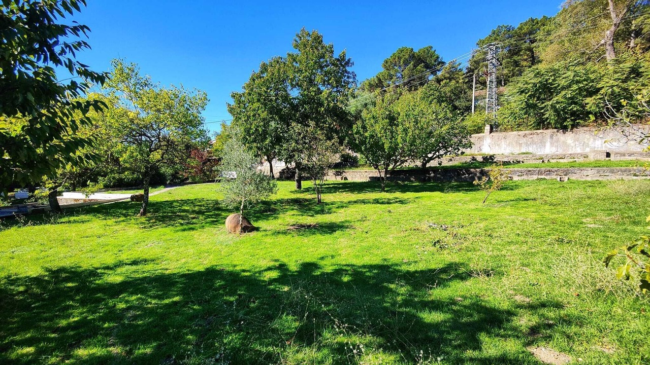 Photo of Outdoor in Piedralaves