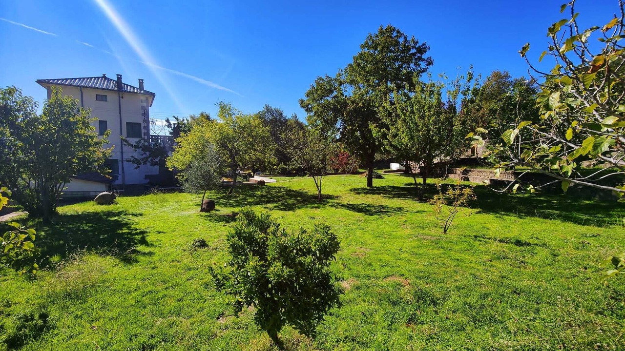 Photo of Outdoor in Piedralaves