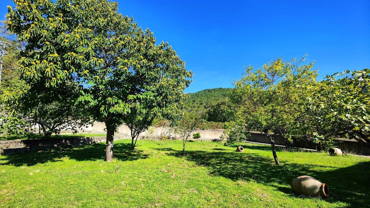 Photo of Outdoor in Piedralaves