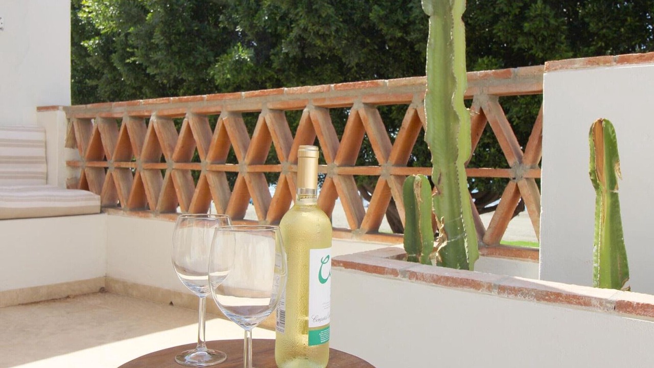 Photo of Patio Balcony in Playas del Palo
