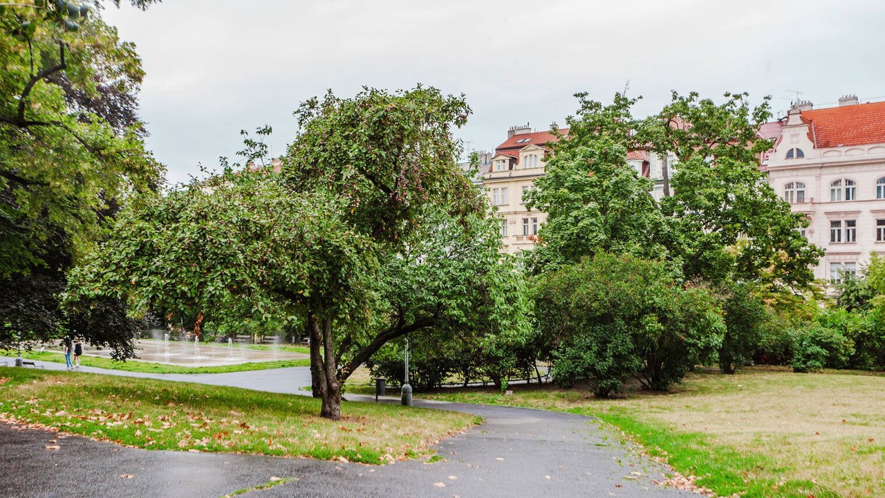 Photo of Others in Vinohrady