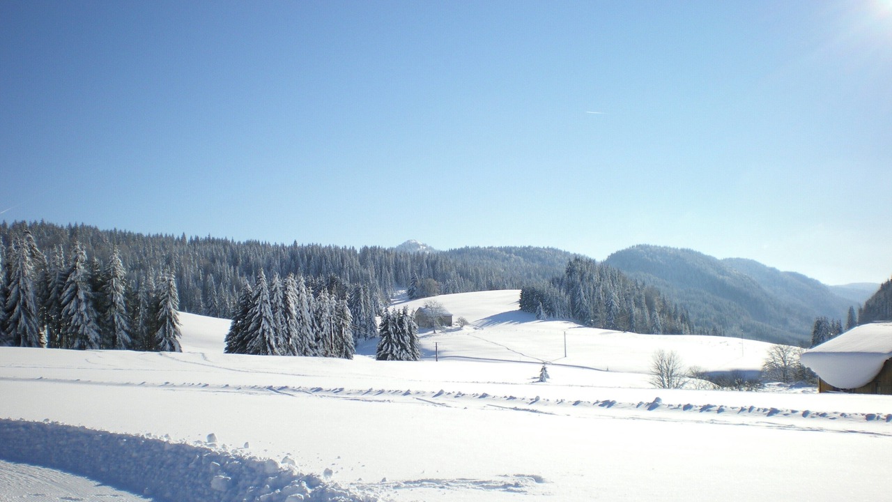 Photo of Others in La Pesse