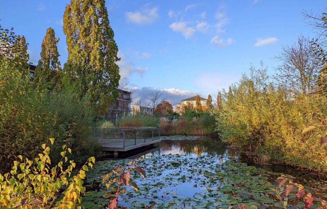 Photo of Outdoor in Kirchrode-Bemerode-Wulferode