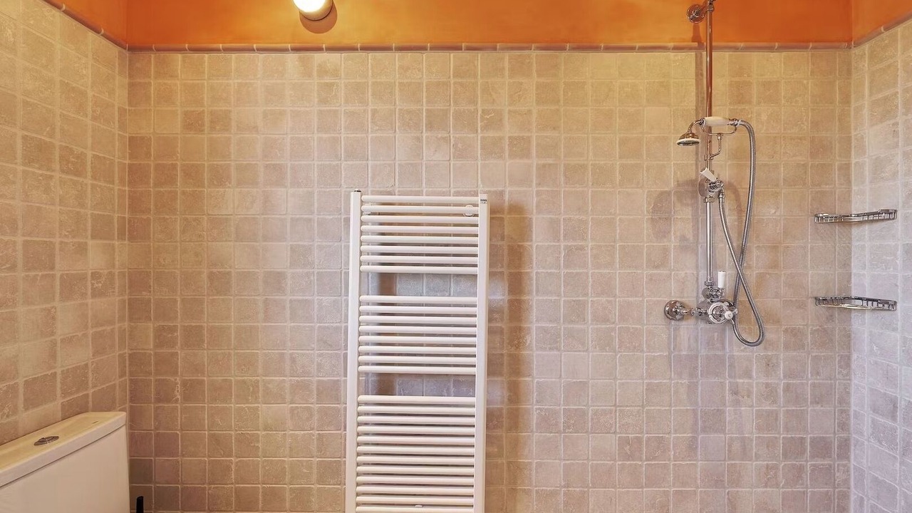 Photo of Bathroom in Sant Carles de Peralta