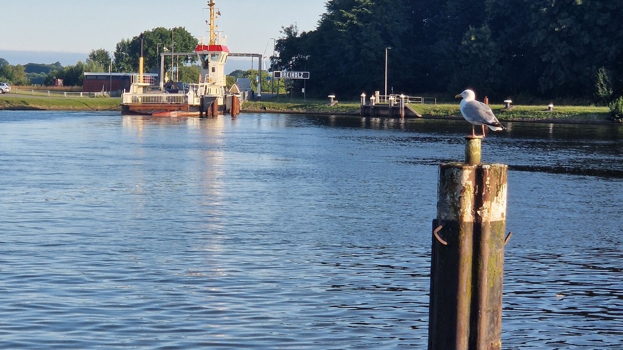 Photo of Others in Haale