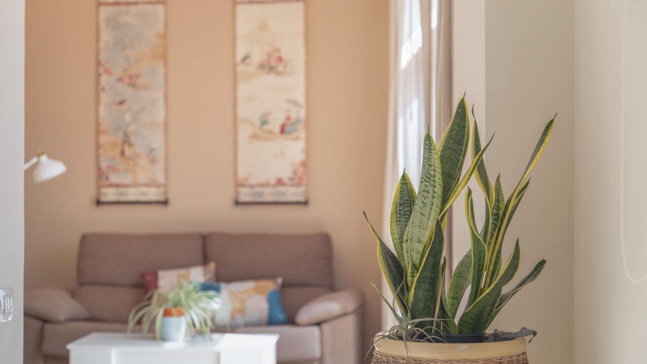 Photo of Livingroom in Galdar