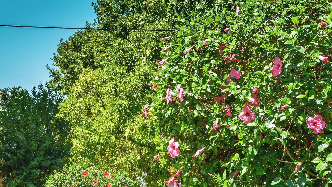 Photo of Outdoor in Elcano-Los Bermejales