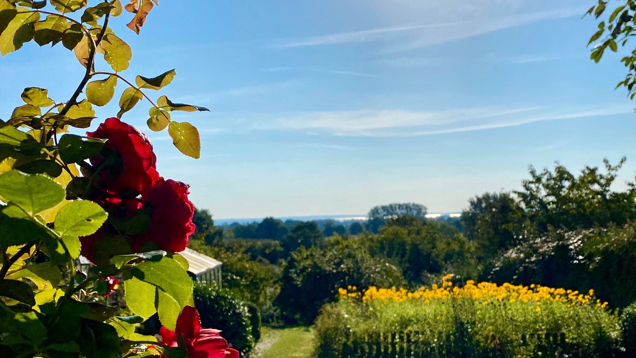 Photo of Outdoor in Gronenberg
