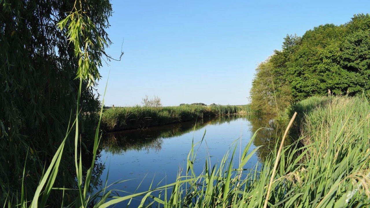 Photo of Others in Ockholm