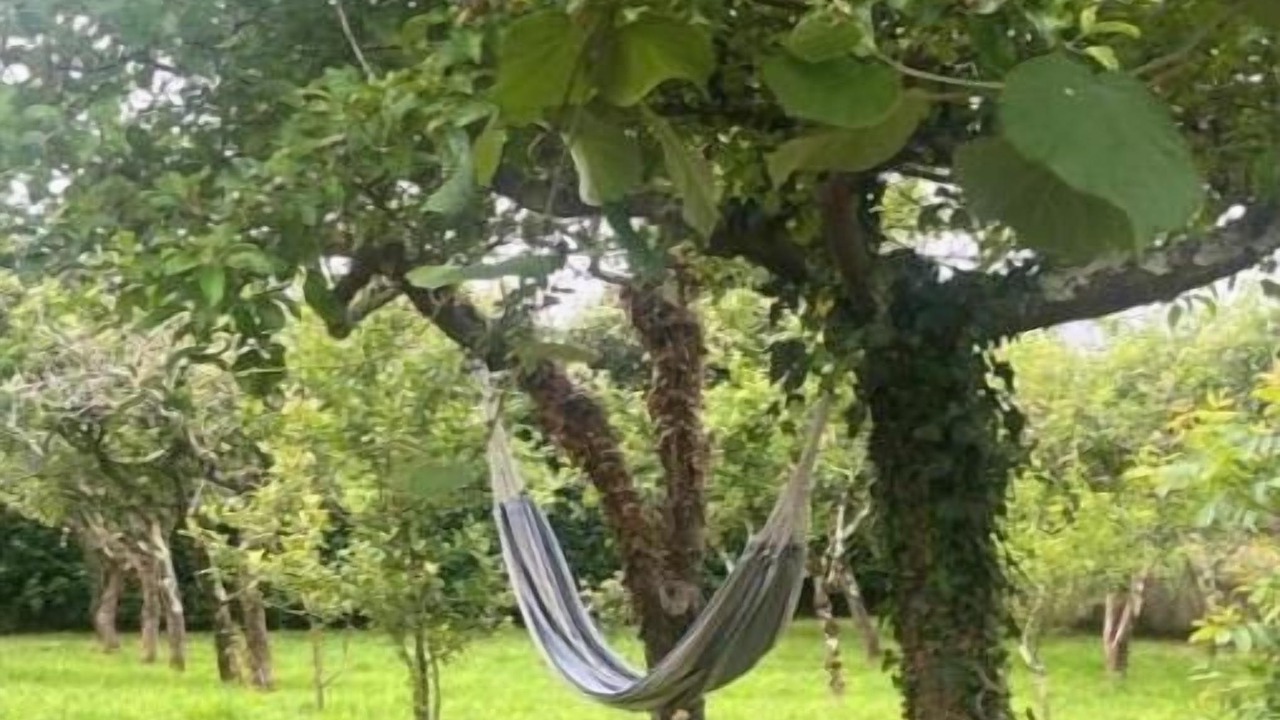 Photo of Outdoor in Abegondo
