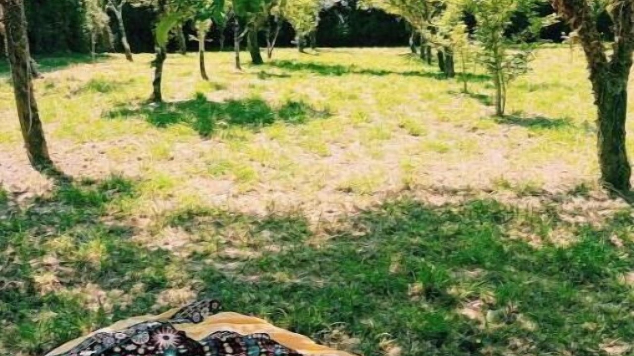 Photo of Outdoor in Abegondo