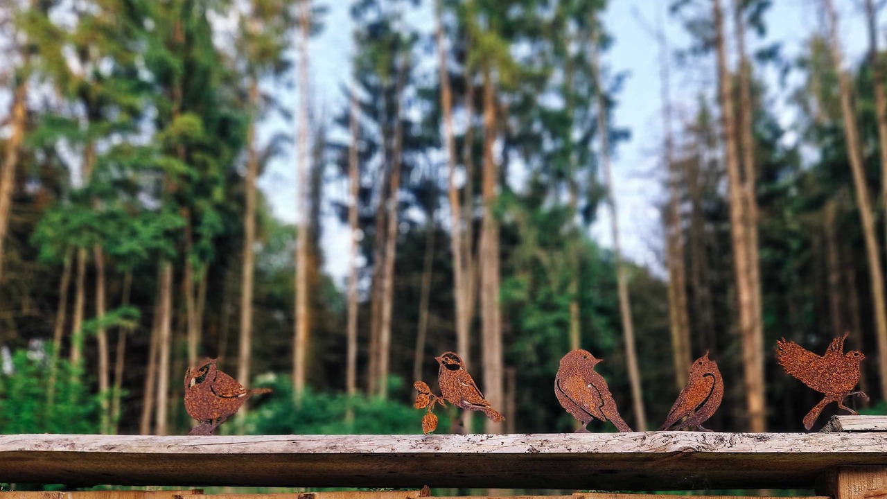Photo of Outdoor in Region Hannover District
