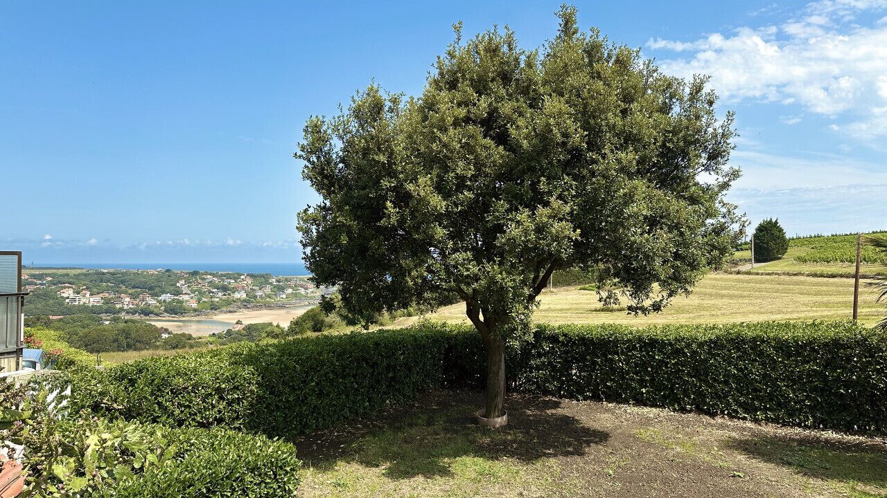Photo of Outdoor in Isla