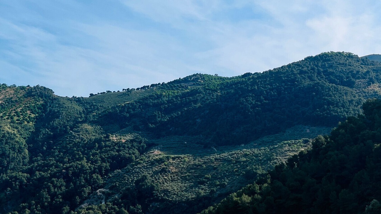 Photo of Outdoor in Yunquera