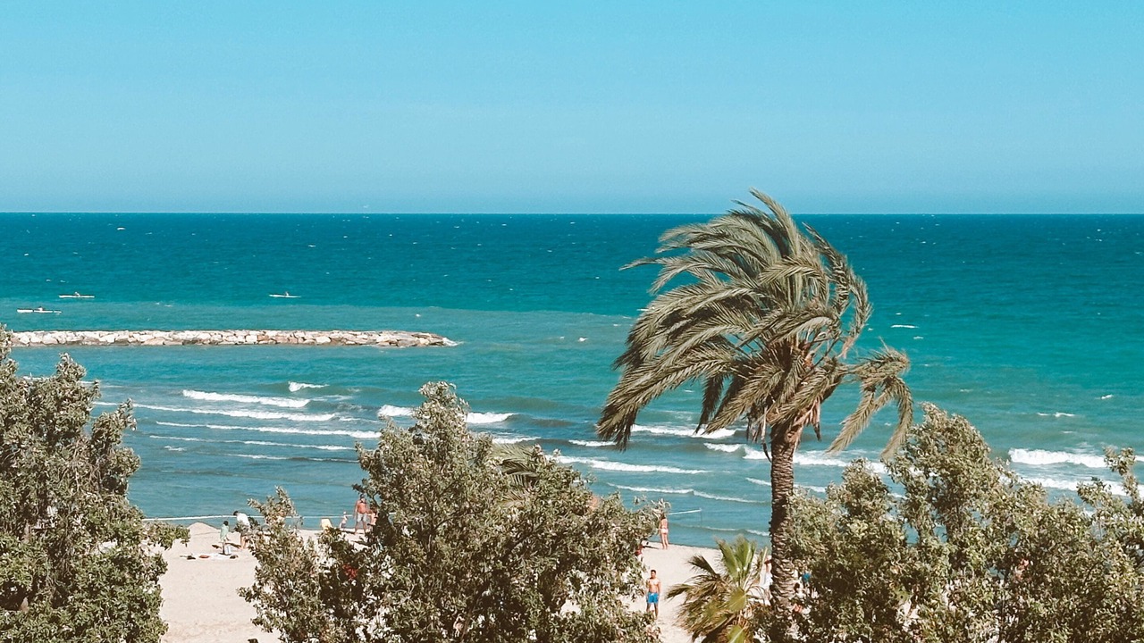 Photo of Others in Campoamor