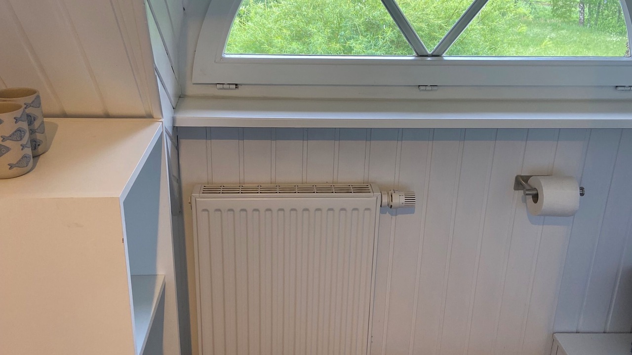 Photo of Bathroom in Damp