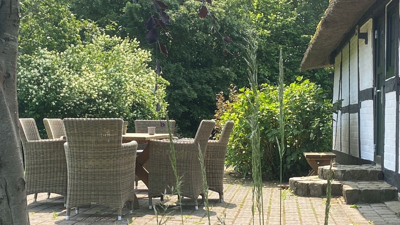 Photo of Outdoor in Damp