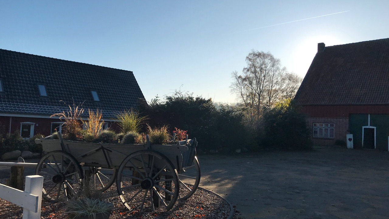Photo of Outdoor in Heide