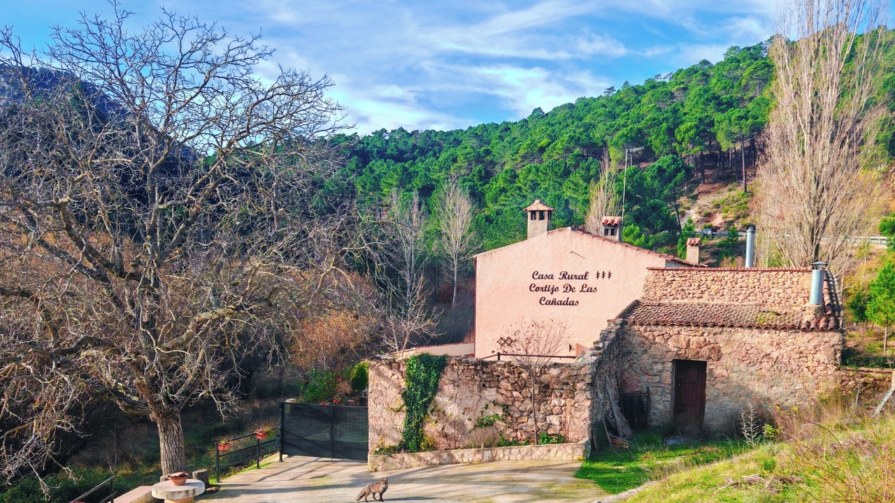 Photo of Outdoor in Riopar
