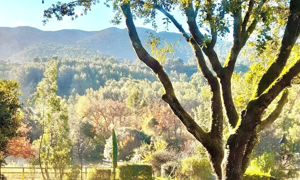 Photo of Others in Vauvenargues