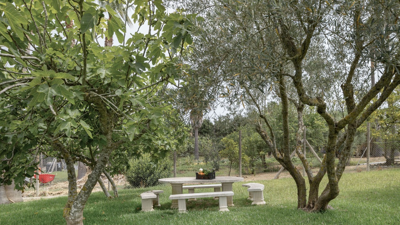 Photo of Outdoor in Brena y Marismas de Barbate Natural Park
