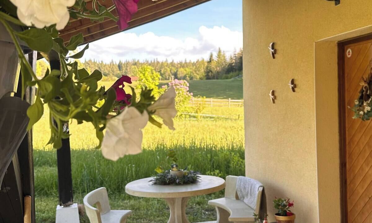 Photo of Outdoor in Longchaumois