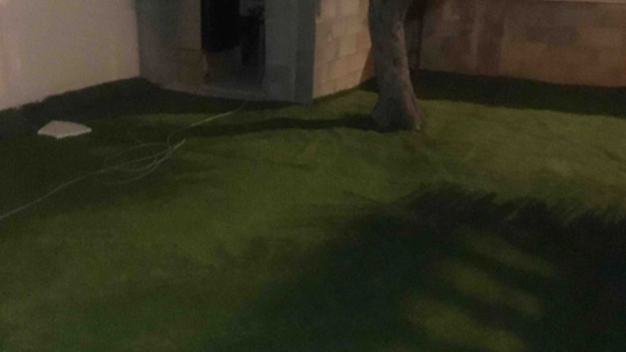 Photo of Outdoor in Saint-Gilles