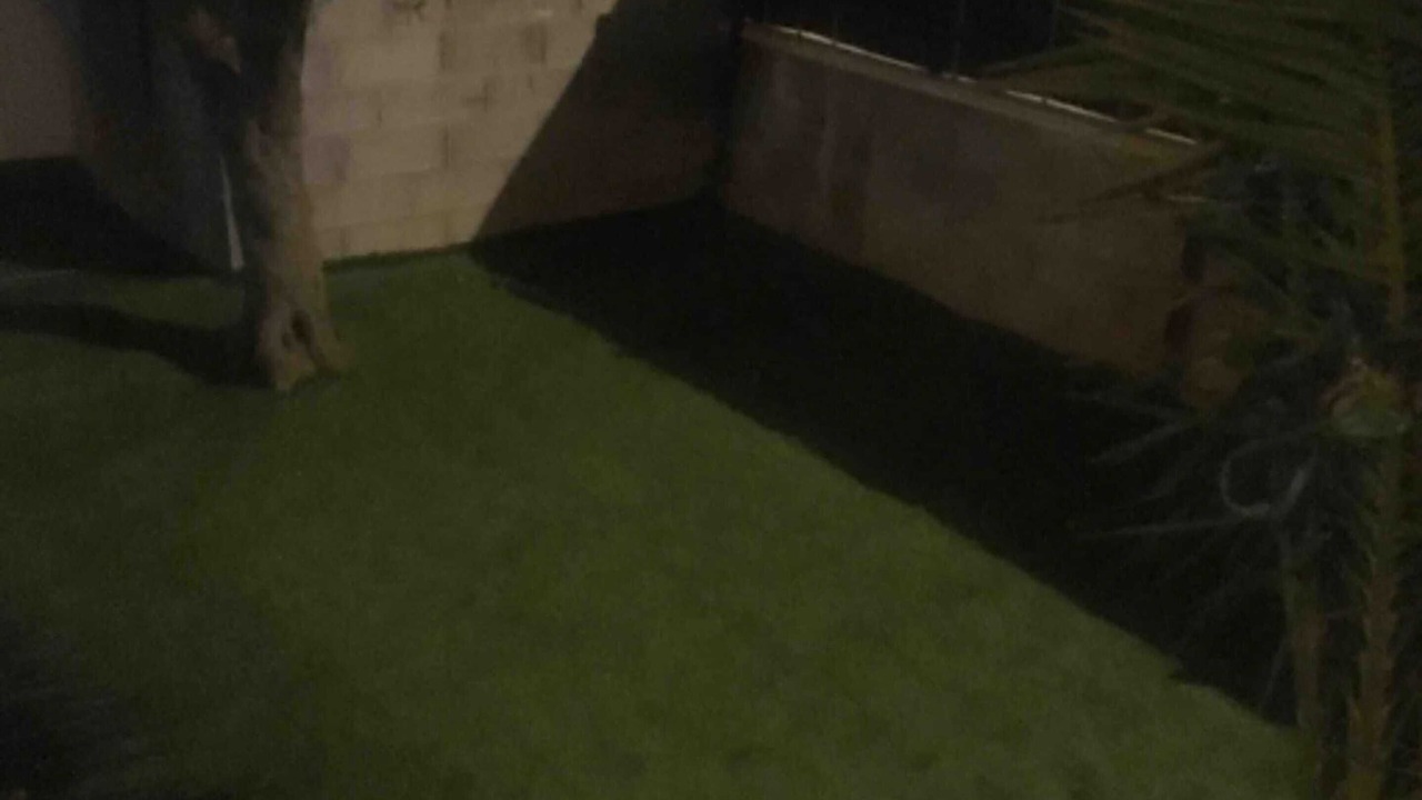 Photo of Outdoor in Saint-Gilles
