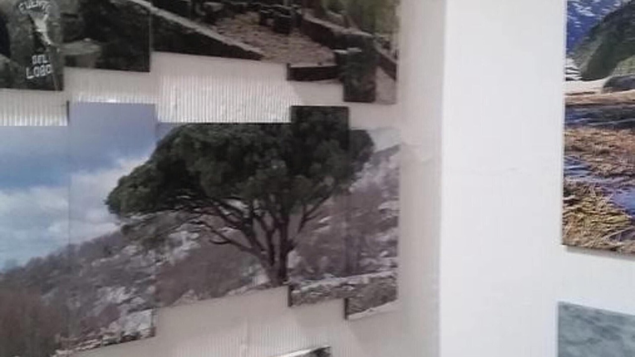 Photo of Livingroom in La Hoya