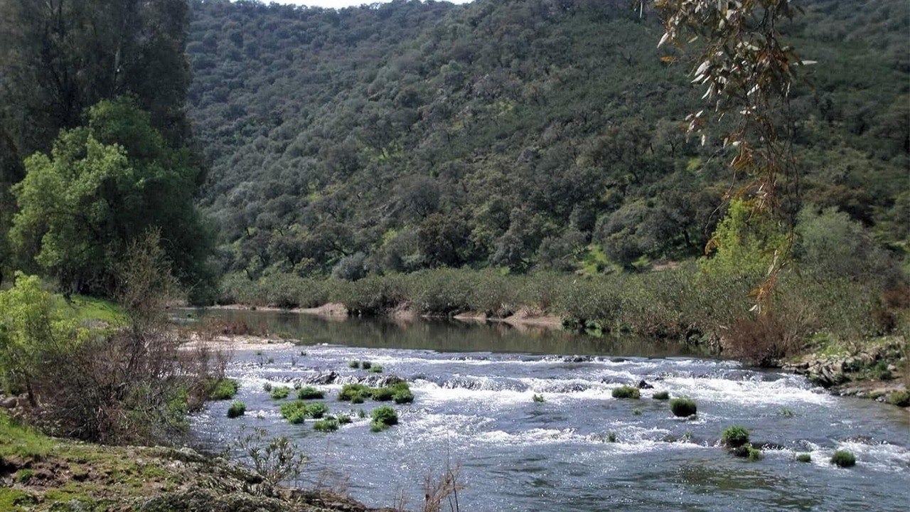 Photo of Others in Encinasola