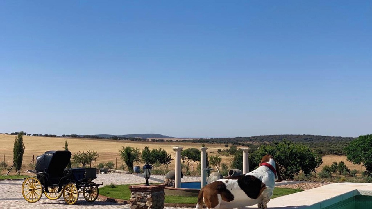 Photo of Outdoor in Fernan Caballero