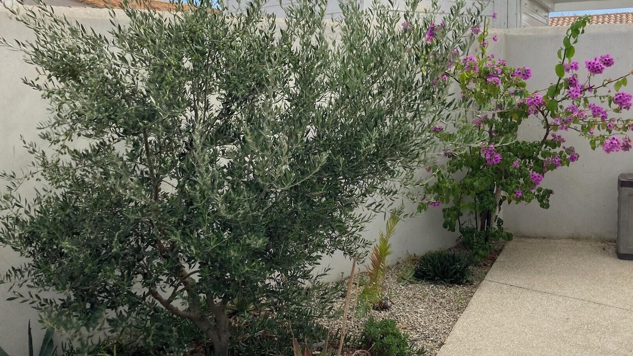 Photo of Outdoor in Saintes-Maries-de-la-Mer