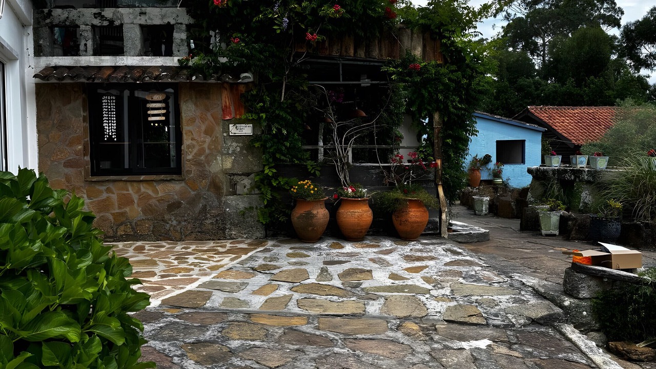 Photo of Outdoor in O Rosal