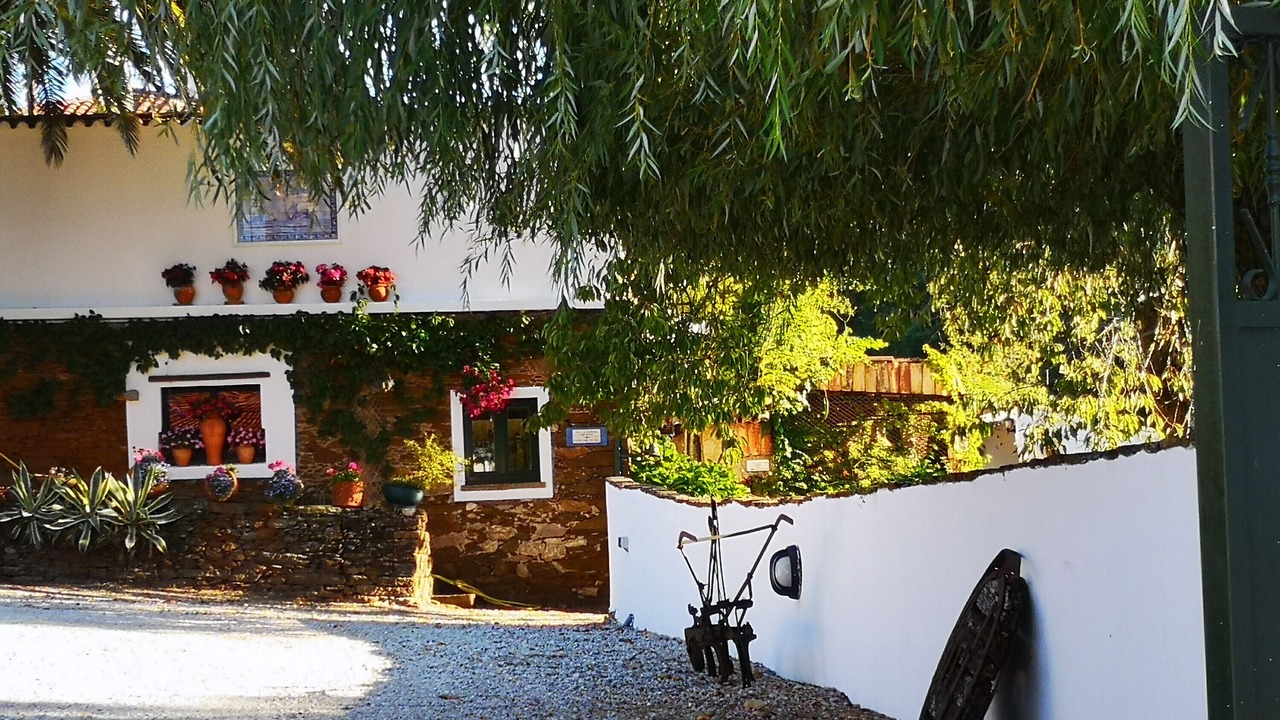 Photo of Outdoor in O Rosal