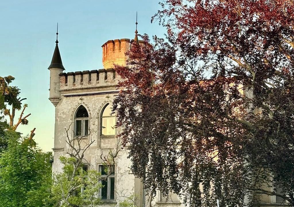 Photo of Others in Burg