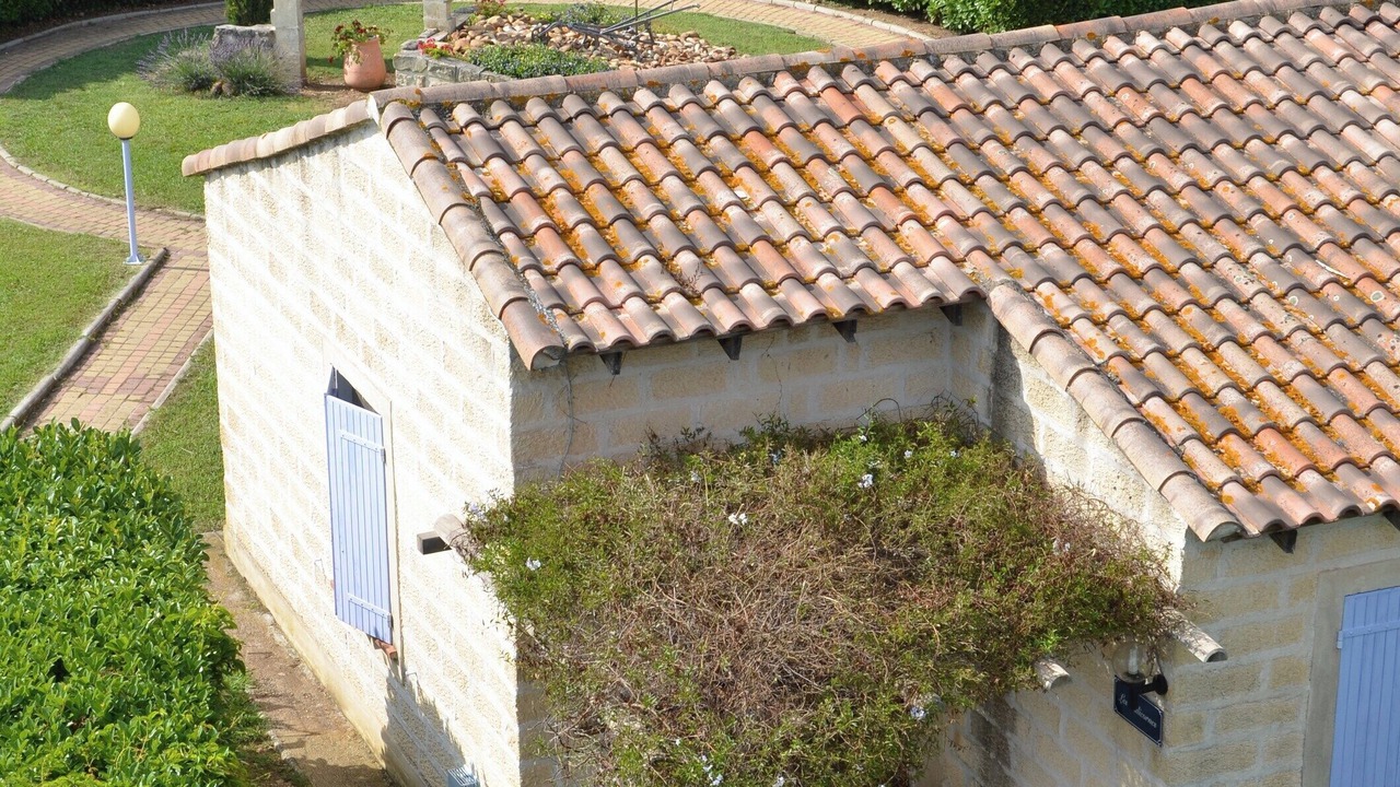 Photo of Outdoor in Raphele-les-Arles