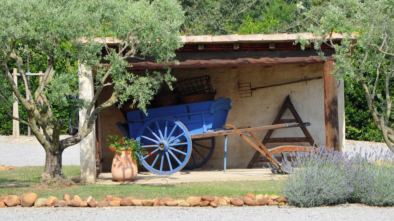Photo of Others in Raphele-les-Arles