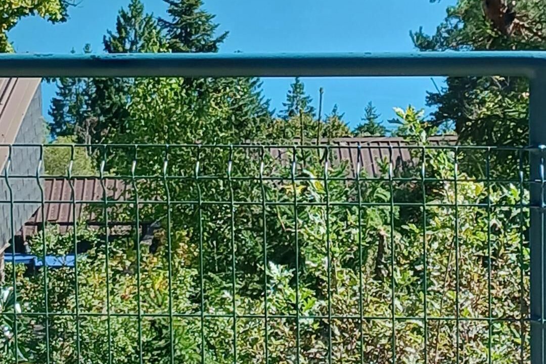 Photo of Outdoor in Maisod