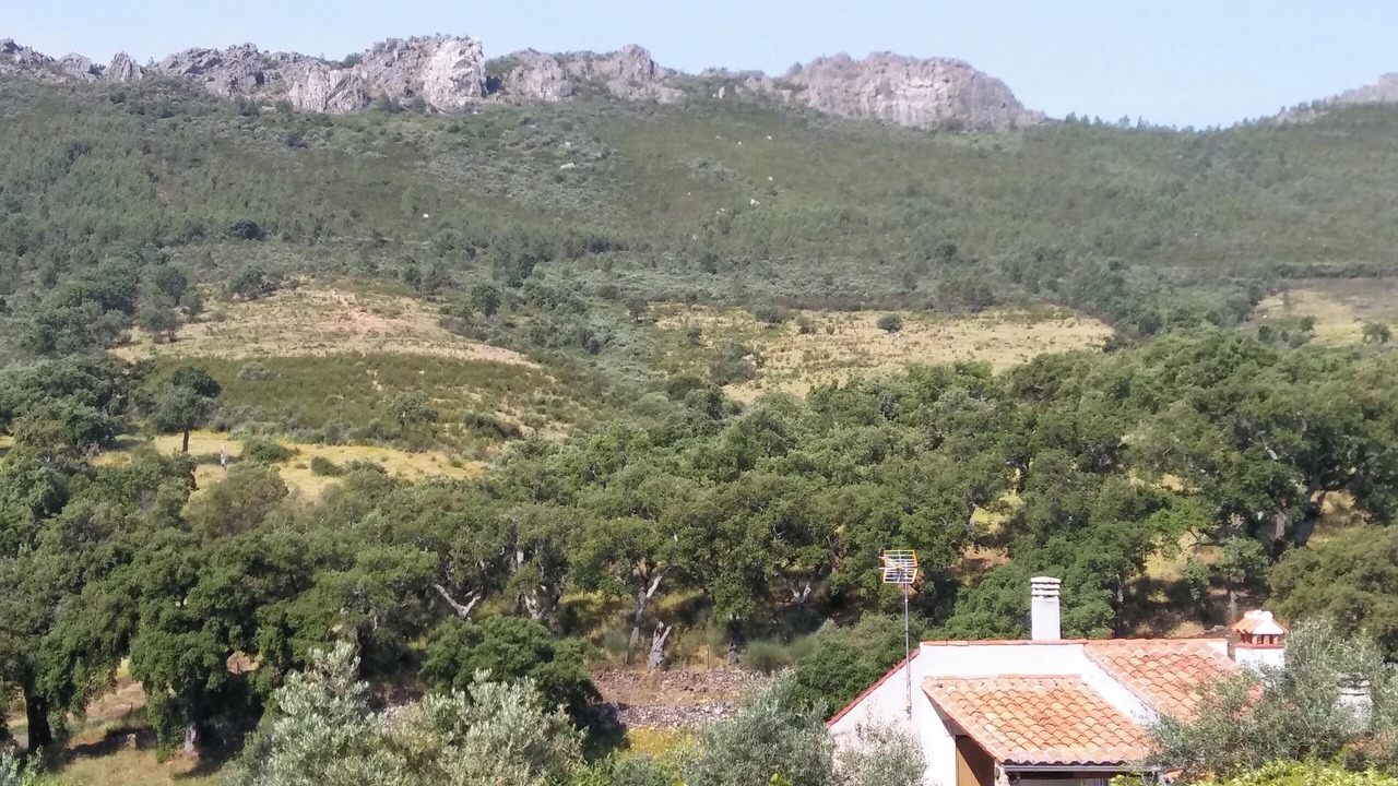 Photo of Others in La Acena de la Borrega