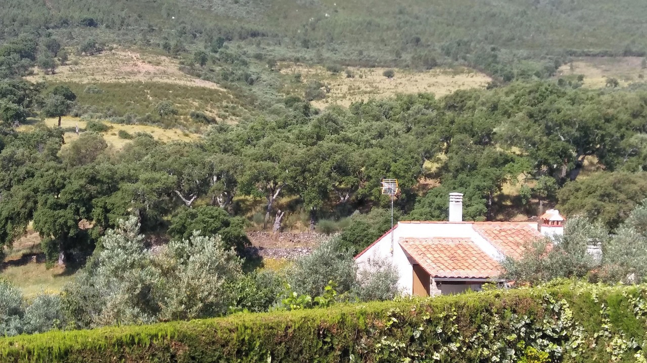 Photo of Others in La Acena de la Borrega