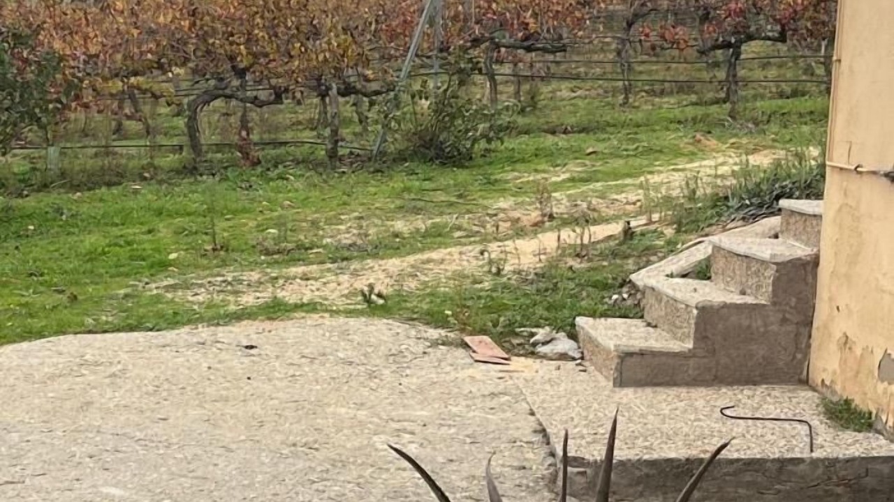 Photo of Outdoor in Burujon