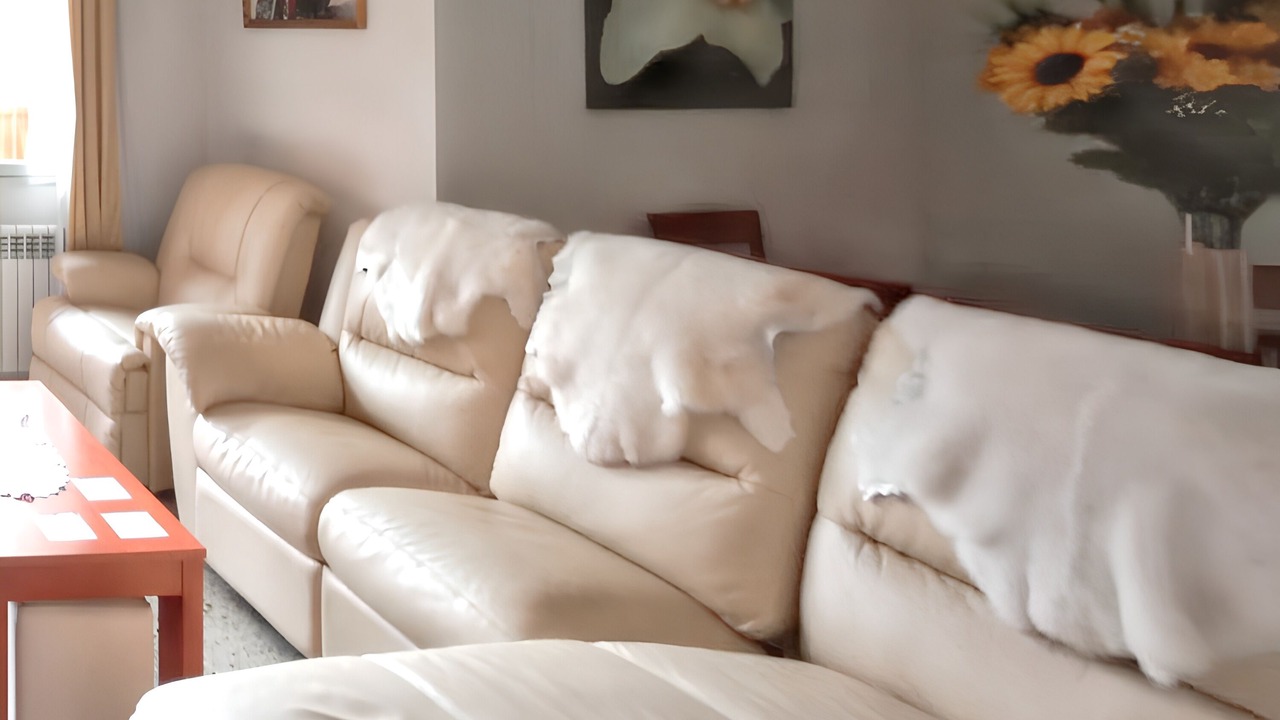 Photo of Livingroom in Zamora