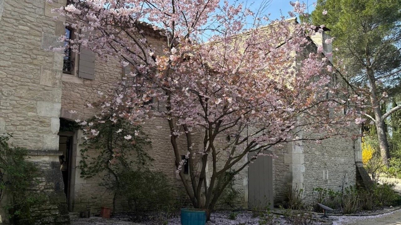 Photo of Outdoor in Lambesc