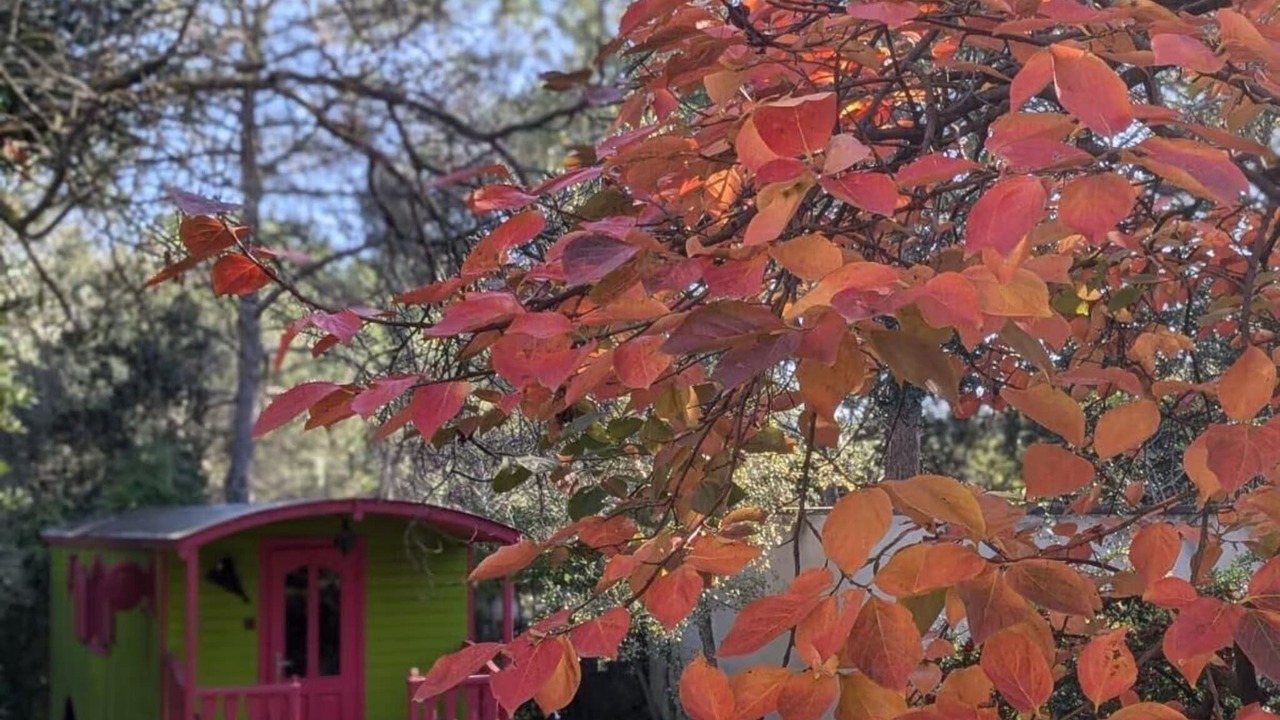 Photo of Outdoor in Lambesc