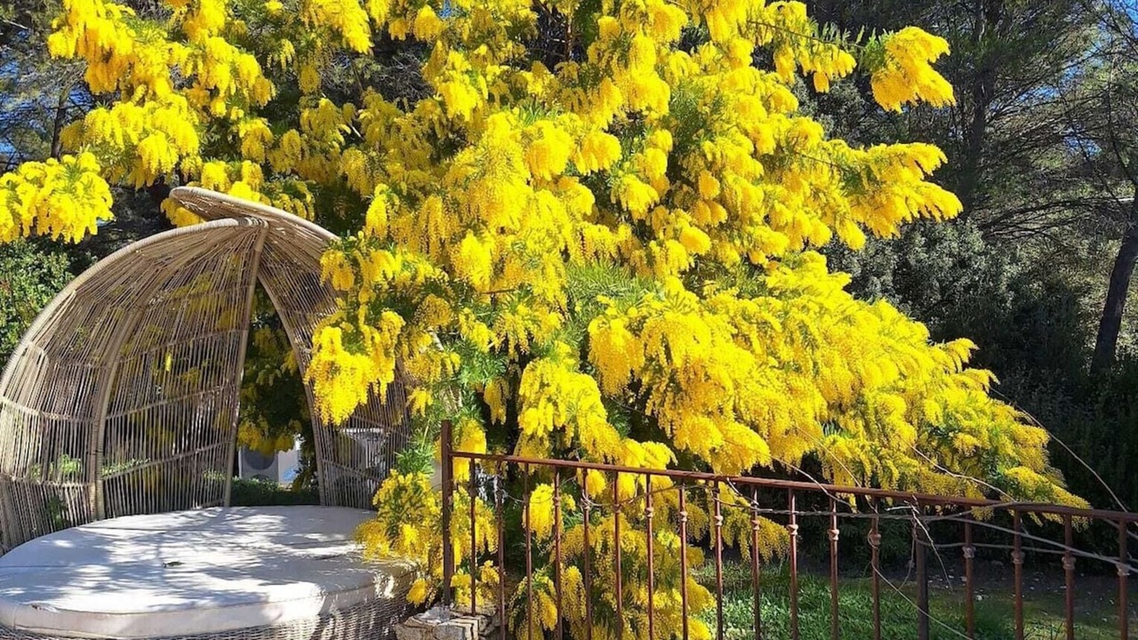 Photo of Outdoor in Lambesc