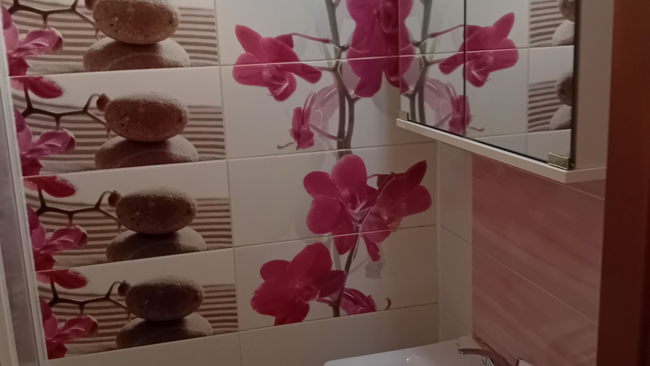 Photo of Bathroom in Zizkov